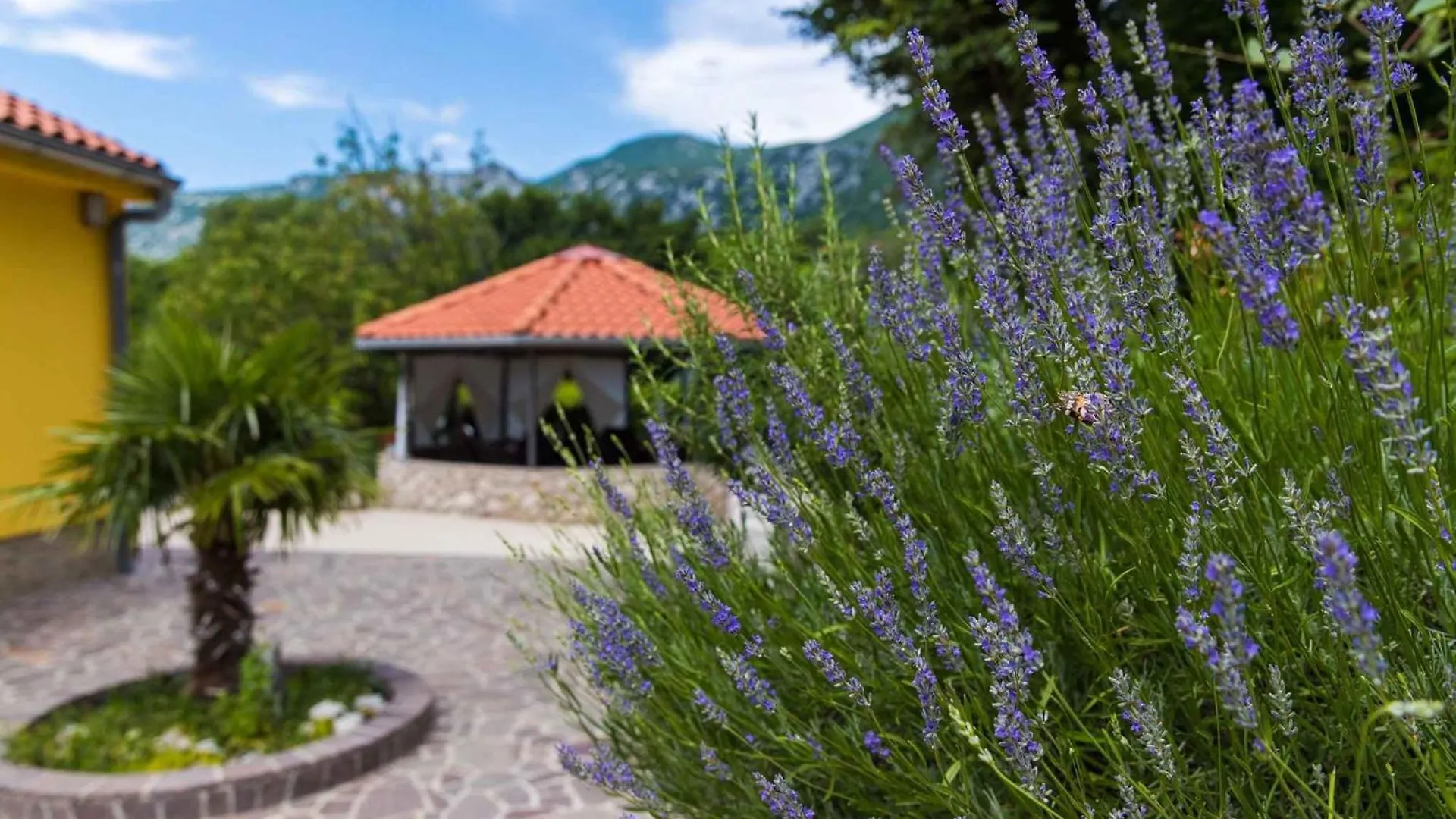 Holiday Home In Grizane 39291